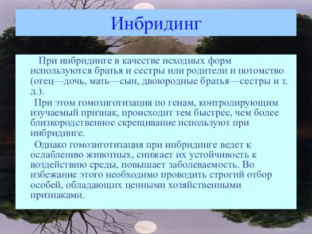 Инбридинг При инбридинге в качестве исходных форм используются братья и сестры или