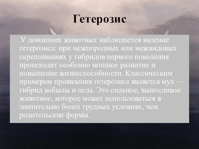 Гетерозис У домашних животных наблюдается явление гетерозиса: при межпородных или межвидовых скрещиваниях