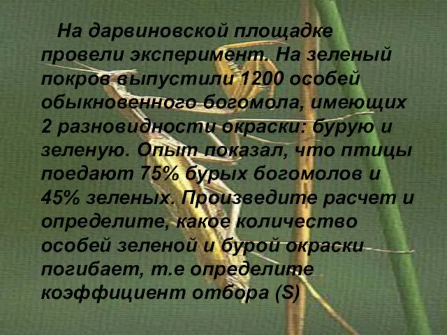 На дарвиновской площадке провели эксперимент. На зеленый покров выпустили 1200 особей обыкновенного