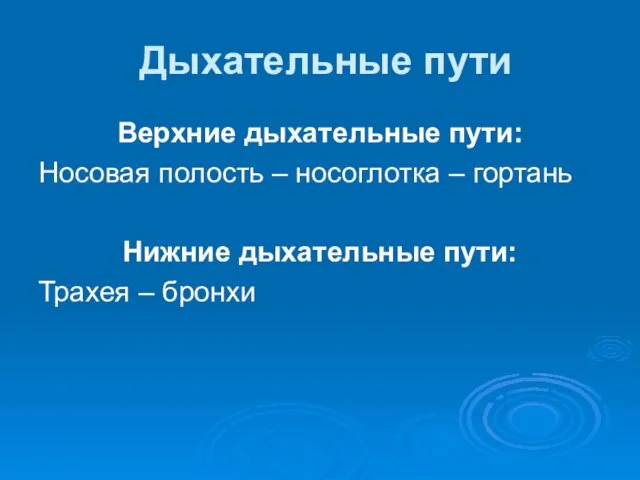 Дыхательные пути Верхние дыхательные пути: Носовая полость – носоглотка – гортань Нижние