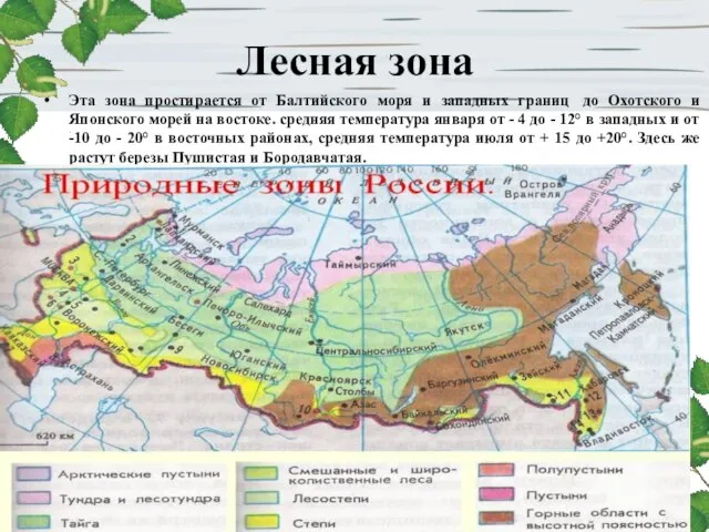 Лесная зона Эта зона простирается от Балтийского моря и западных границ до