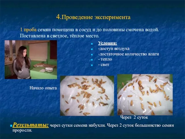 4.Проведение эксперимента Условия: -доступ воздуха -достаточное количество влаги - тепло - свет