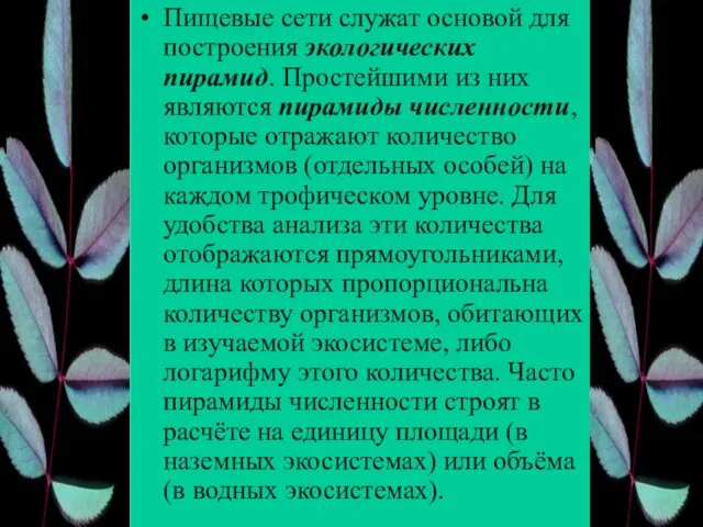 Пищевые сети служат основой для построения экологических пирамид. Простейшими из них являются