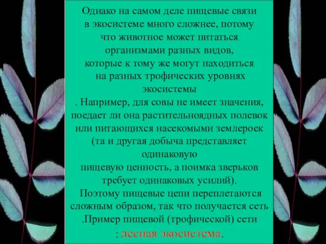 Однако на самом деле пищевые связи в экосистеме много сложнее, потому что