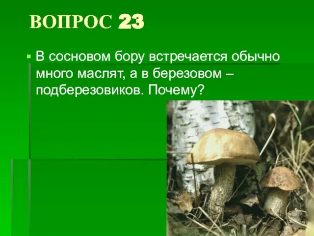 ВОПРОС 23 В сосновом бору встречается обычно много маслят, а в березовом – подберезовиков. Почему?