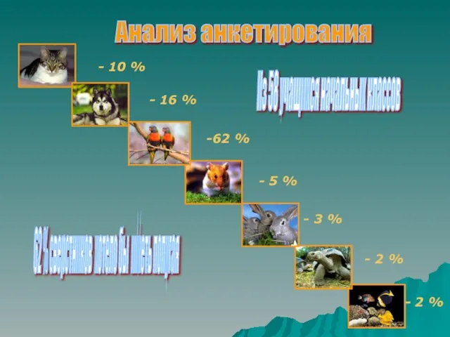 Черепах– 8% Кроликов – 3% - 10 % - 16 % -62