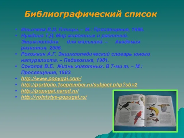 Библиографический список Ильичева В.Д. Птицы. – М.: Просвещение, 1986. Нуждина Т.Д. Мир