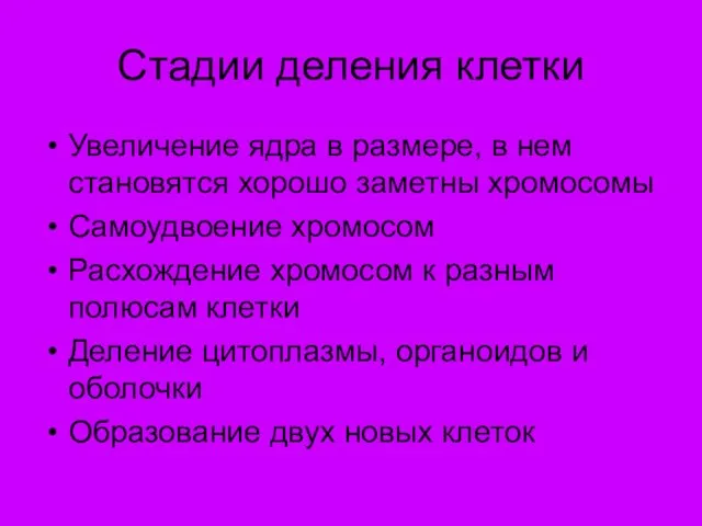 Стадии деления клетки Увеличение ядра в размере, в нем становятся хорошо заметны