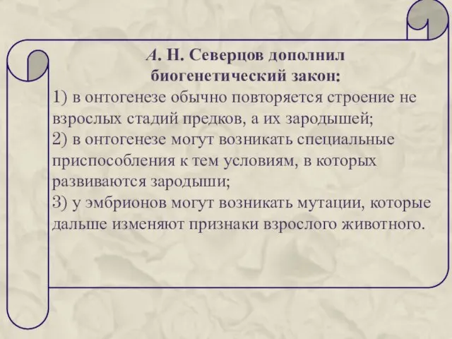 А. Н. Северцов дополнил биогенетический закон: 1) в онтогенезе обычно повторяется строение