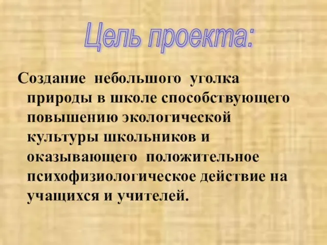 Создание небольшого уголка природы в школе способствующего повышению экологической культуры школьников и