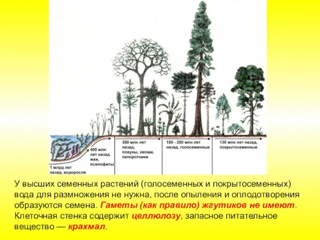 У высших семенных растений (голосеменных и покрытосеменных) вода для размножения не нужна,