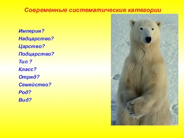 Империя? Надцарство? Царство? Подцарство? Тип ? Класс? Отряд? Семейство? Род? Вид? Современные систематические категории