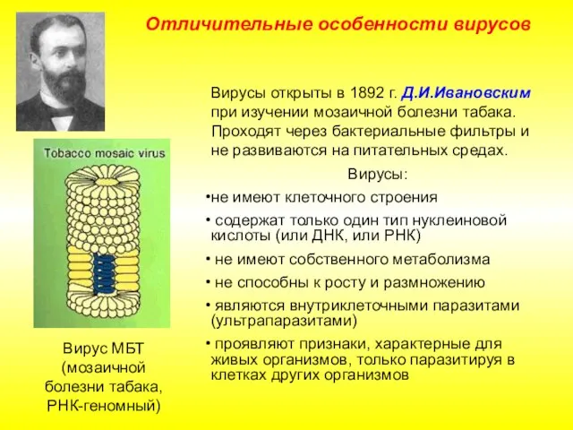 Отличительные особенности вирусов Вирусы открыты в 1892 г. Д.И.Ивановским при изучении мозаичной