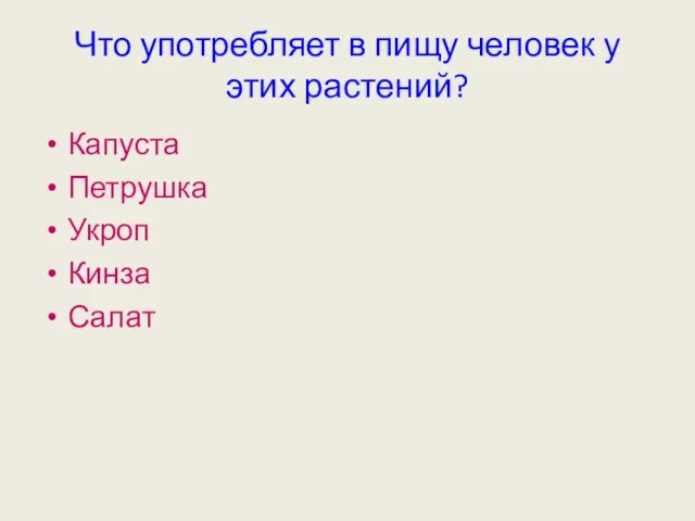 Что употребляет в пищу человек у этих растений? Капуста Петрушка Укроп Кинза Салат