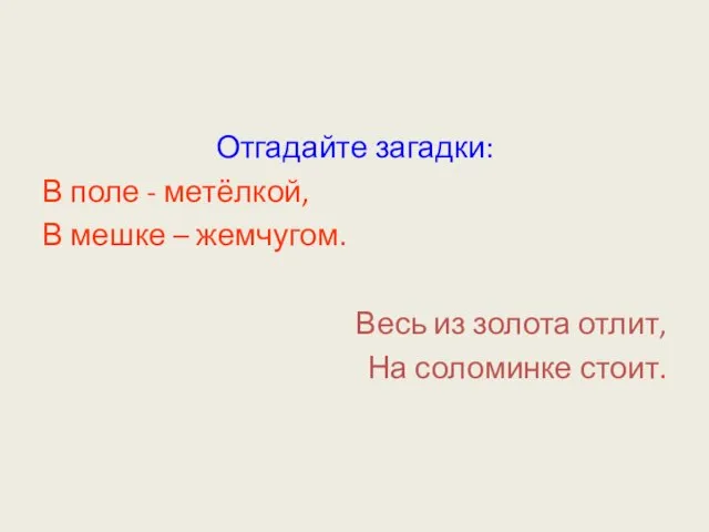 Отгадайте загадки: В поле - метёлкой, В мешке – жемчугом. Весь из