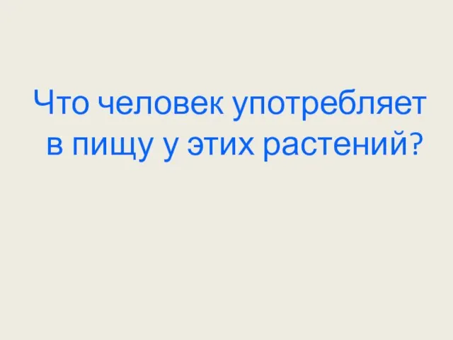 Что человек употребляет в пищу у этих растений?