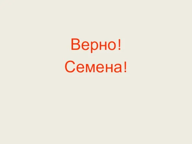 Верно! Семена!