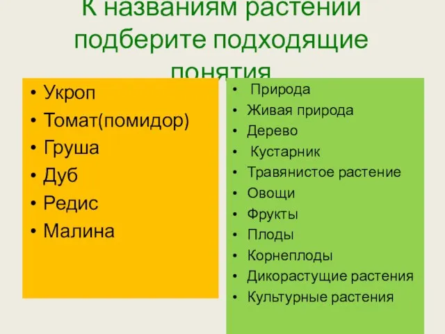 К названиям растений подберите подходящие понятия Укроп Томат(помидор) Груша Дуб Редис Малина