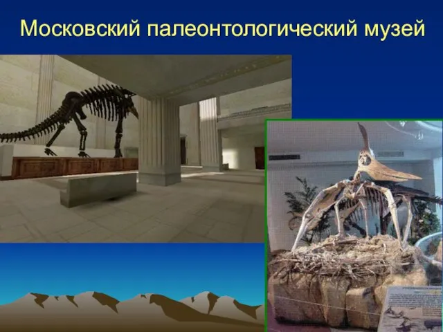 Московский палеонтологический музей