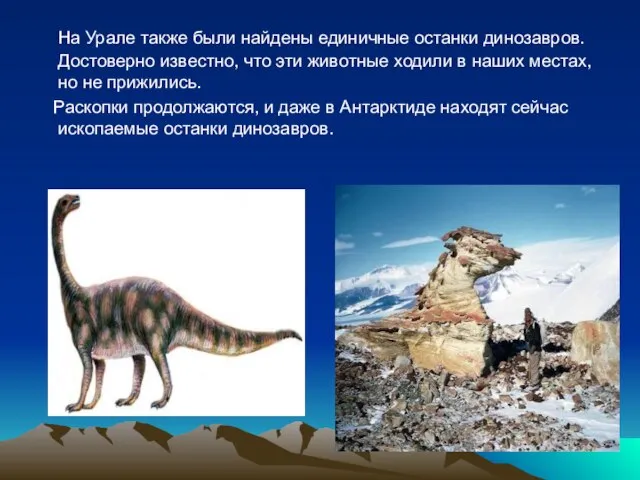 На Урале также были найдены единичные останки динозавров. Достоверно известно, что эти