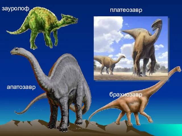зауролоф платеозавр брахиозавр апатозавр