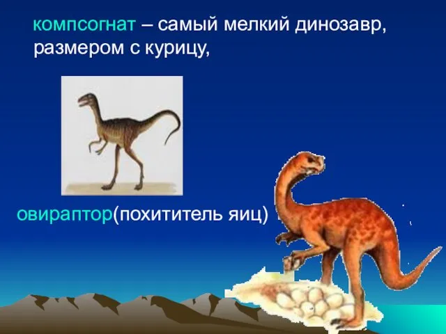 компсогнат – самый мелкий динозавр, размером с курицу, овираптор(похититель яиц)