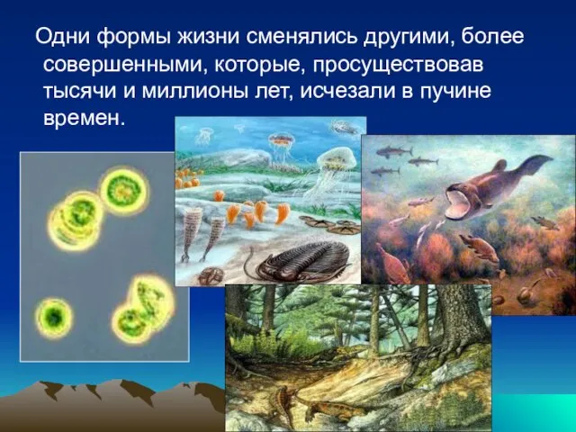 Одни формы жизни сменялись другими, более совершенными, которые, просуществовав тысячи и миллионы