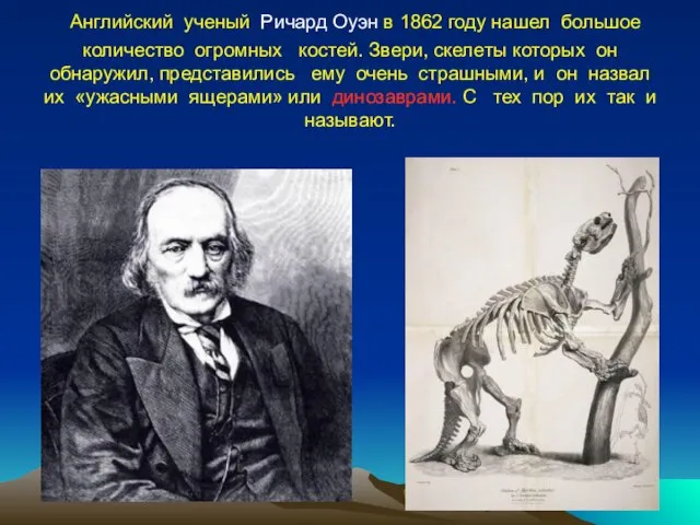 Английский ученый Ричард Оуэн в 1862 году нашел большое количество огромных костей.