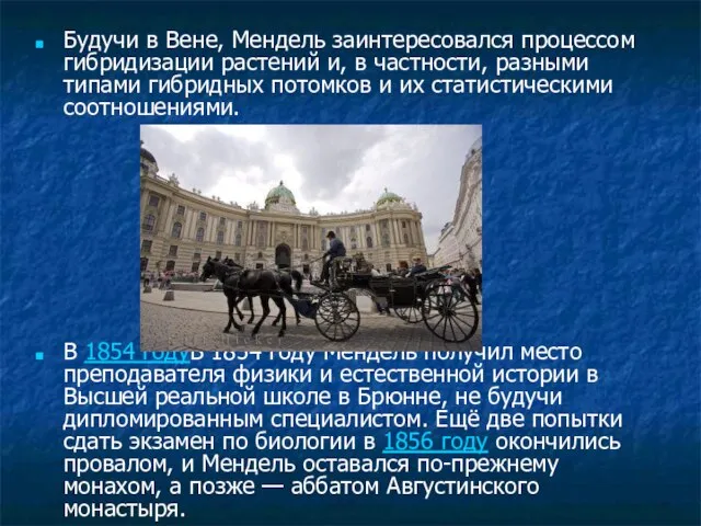 Будучи в Вене, Мендель заинтересовался процессом гибридизации растений и, в частности, разными