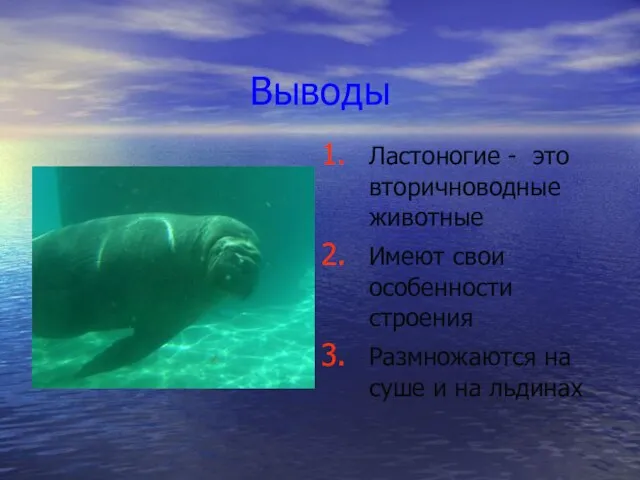 Выводы Ластоногие - это вторичноводные животные Имеют свои особенности строения Размножаются на суше и на льдинах