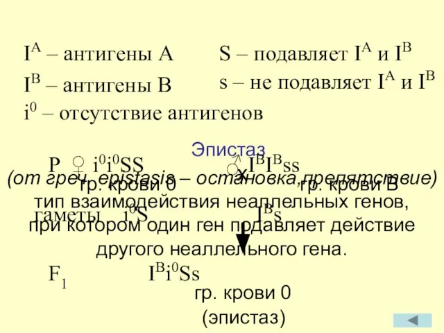 Эпистаз (от греч. epistasis – остановка,препятствие) тип взаимодействия неаллельных генов, при котором