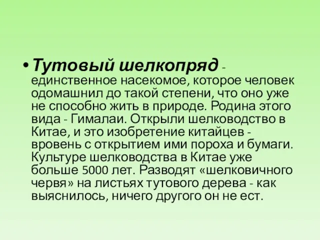 Тутовый шелкопряд - единственное насекомое, которое человек одомашнил до такой степени, что