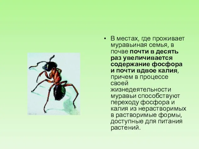 В местах, где проживает муравьиная семья, в почве почти в десять раз