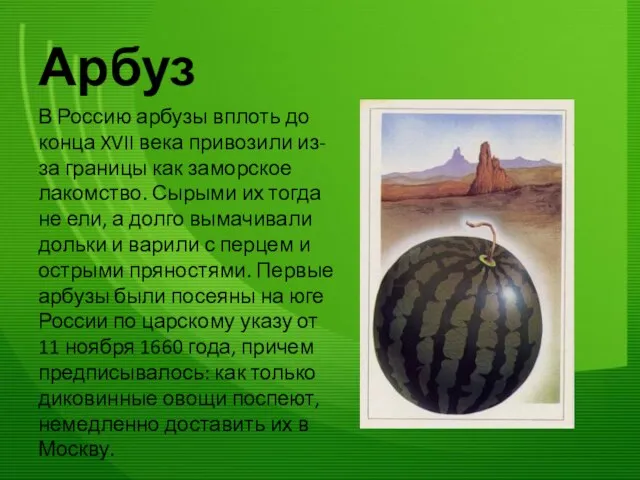 Арбуз В Россию арбузы вплоть до конца XVII века привозили из-за границы