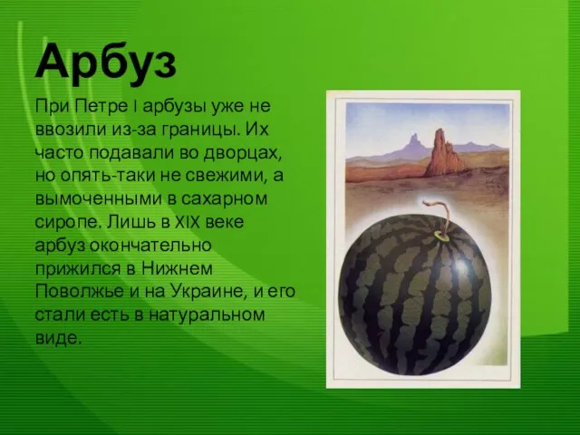 Арбуз При Петре I арбузы уже не ввозили из-за границы. Их часто