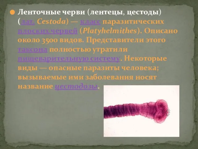 Ленточные черви (лентецы, цестоды) (лат. Cestoda) — класс паразитических плоских червей (Platyhelmithes).
