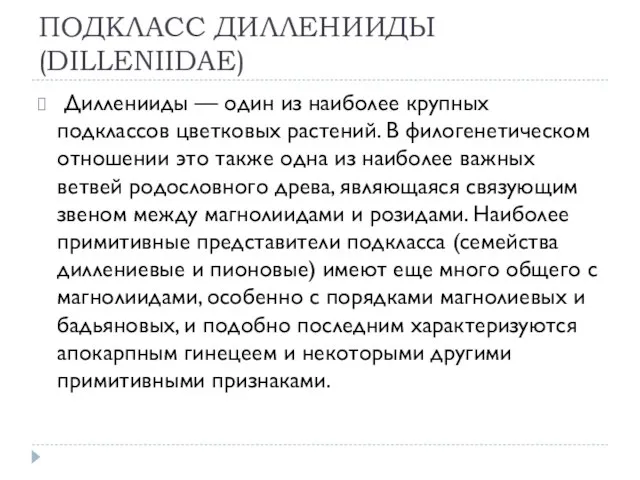 ПОДКЛАСС ДИЛЛЕНИИДЫ (DILLENIIDAE) Дилленииды — один из наиболее крупных подклассов цветковых растений.