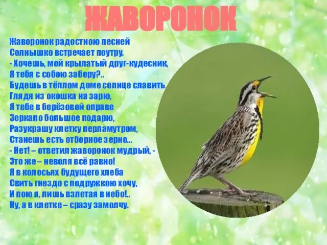 Жаворонок радостною песней Солнышко встречает поутру. - Хочешь, мой крылатый друг-кудесник, Я