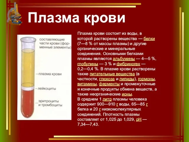 Плазма крови Плазма крови состоит из воды, в которой растворены вещества —