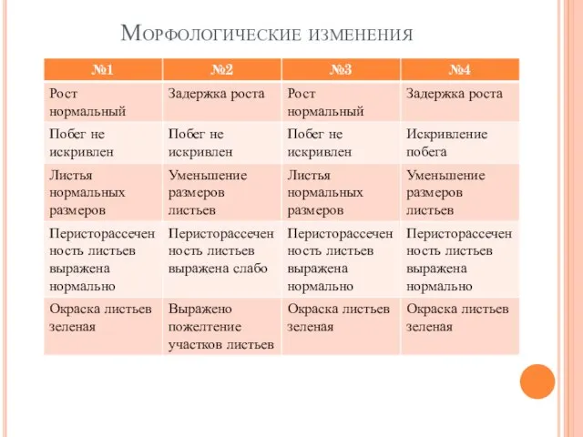 Морфологические изменения