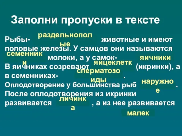 Заполни пропуски в тексте Рыбы- животные и имеют половые железы. У самцов