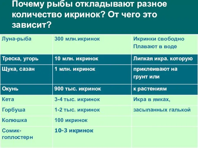 Почему рыбы откладывают разное количество икринок? От чего это зависит?