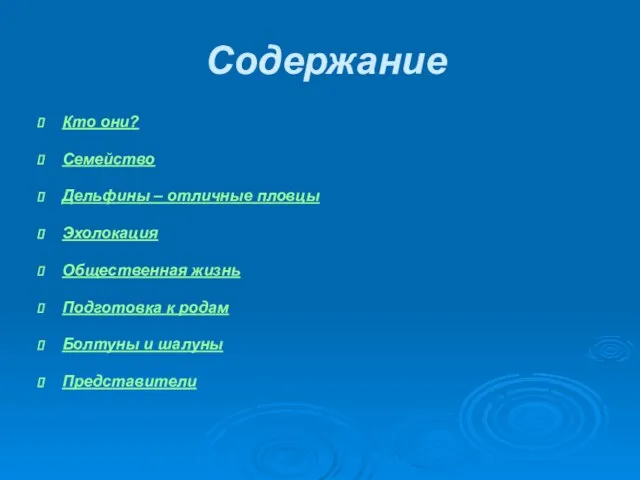 Содержание Кто они? Семейство Дельфины – отличные пловцы Эхолокация Общественная жизнь Подготовка