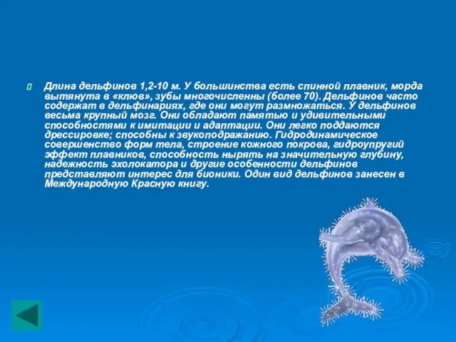 Длина дельфинов 1,2-10 м. У большинства есть спинной плавник, морда вытянута в