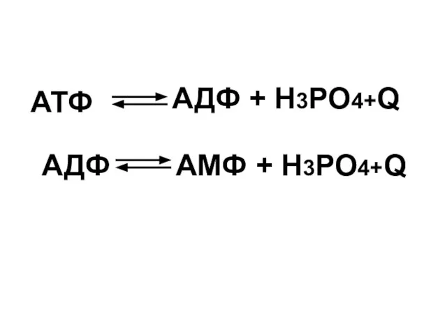 АДФ + Н3РО4+Q АМФ + Н3РО4+Q АТФ АДФ