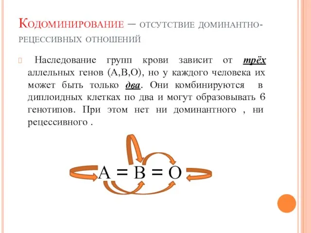 Кодоминирование – отсутствие доминантно-рецессивных отношений Наследование групп крови зависит от трёх аллельных