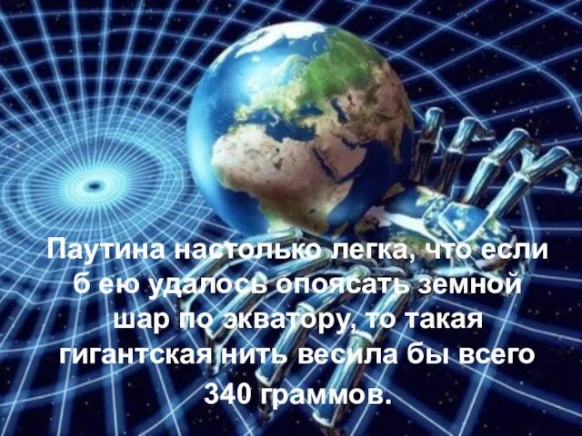 Паутина настолько легка, что если б ею удалось опоясать земной шар по