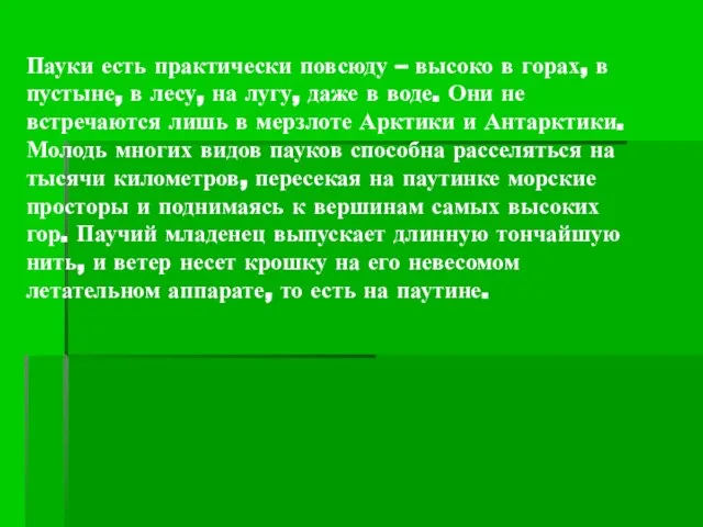 Пауки есть практически повсюду – высоко в горах, в пустыне, в лесу,