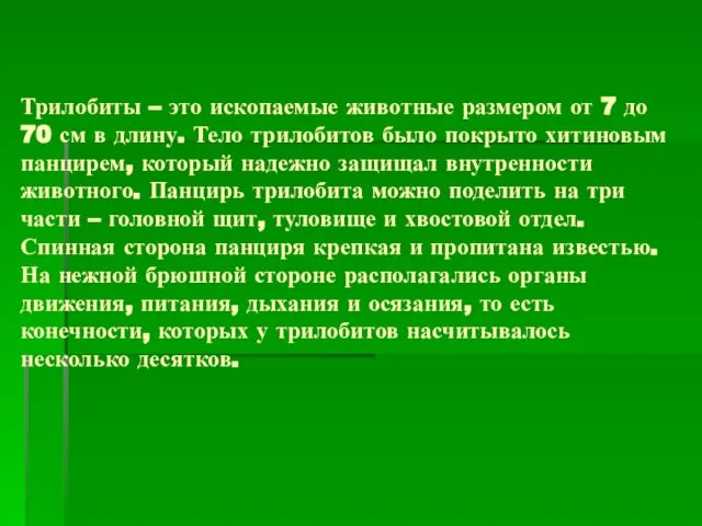 Трилобиты – это ископаемые животные размером от 7 до 70 см в