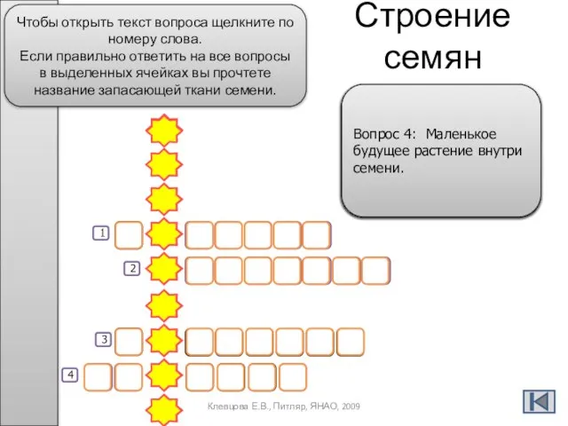 Строение семян т е б е л Э Н Д О С